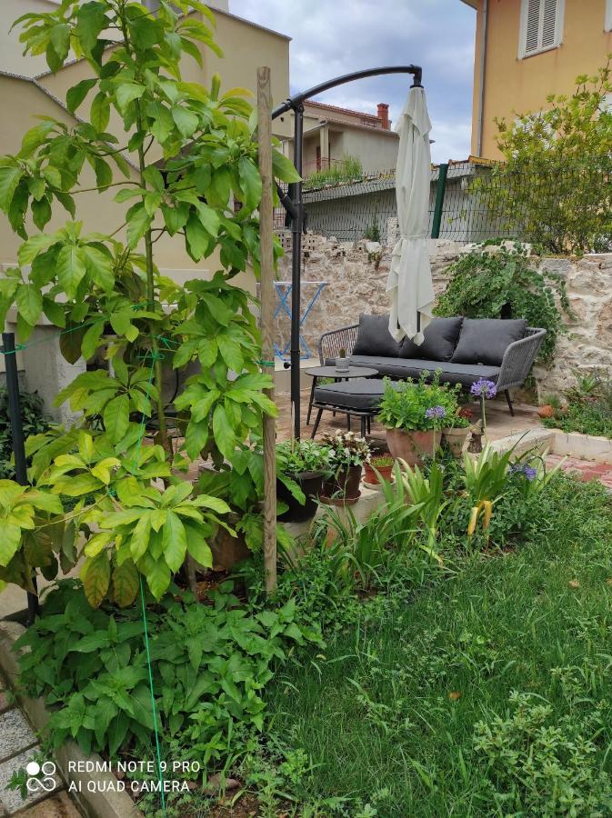 Villa Podvrsina1A Rosa Preko Exterior foto