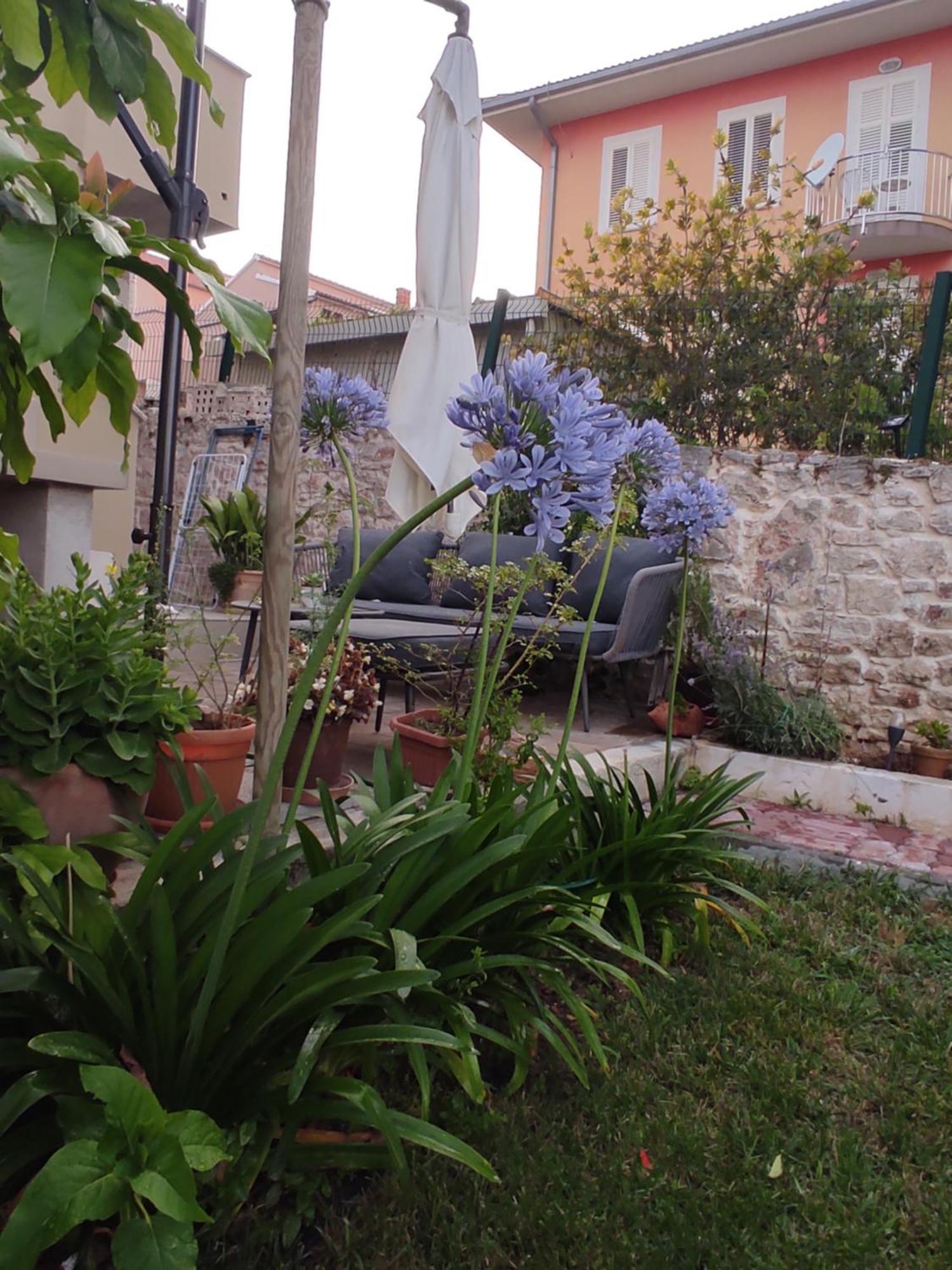 Villa Podvrsina1A Rosa Preko Exterior foto